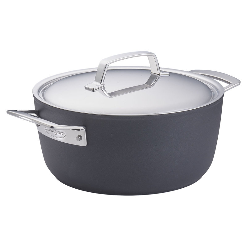 Demeyere Alupro 10 Piece Aluminum Nonstick Cookware Set Wayfair